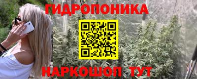 мяу мяу мука Кандалакша